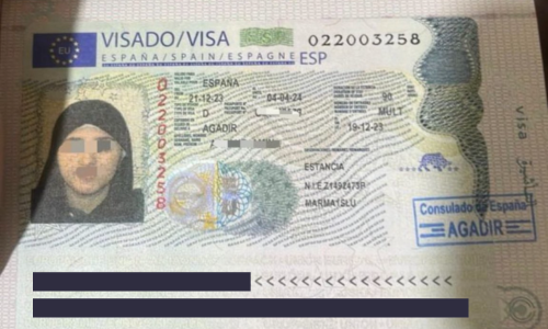 Visa Acceptée