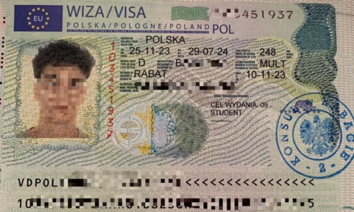 Visa Acceptée