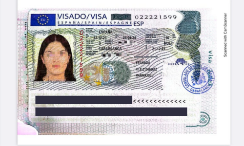 Visa Acceptée
